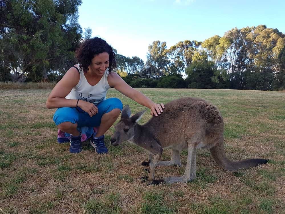 estudiante en australia chica morena de rodillas tocando un canguro